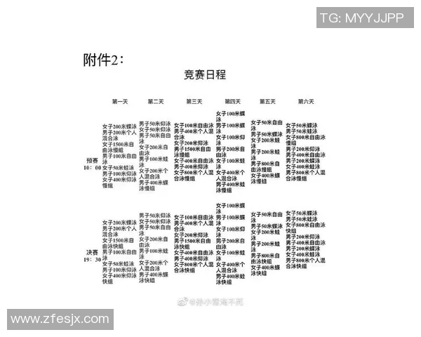 游泳比赛规则详解：从起跳到触壁的技术要求与比赛流程